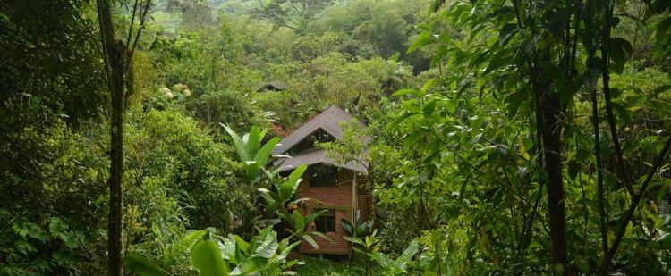 Casa Divina Lodge - Mindo - Ecuador